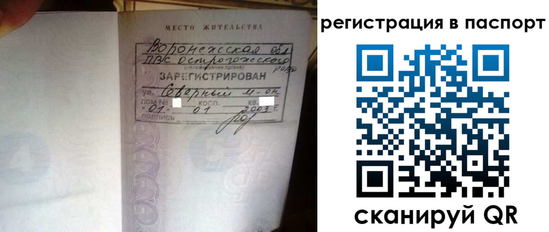 прописка для школы в Новозыбкове